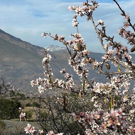 Cortijo Vacas Gordas B&B Castell de Ferro Exterior photo
