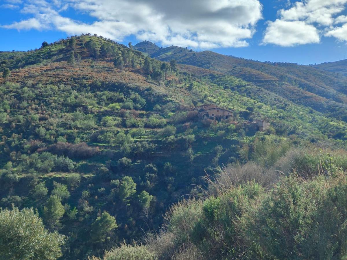 Cortijo Vacas Gordas B&B Castell de Ferro Exterior photo